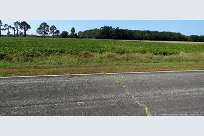 Tbd Cowpen Swamp Road, Fairmont, NC 28340 - Photo 2