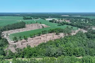 Tbd Nc Hwy 71 Hwy, Red Springs, NC 28377 - Photo 16