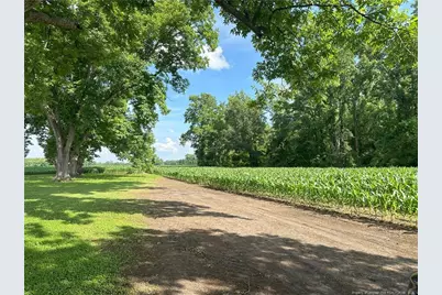 Lot A Pleasant Hope Road, Lumberton, NC 28340 - Photo 4