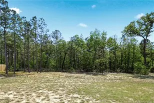 258 Collier Gate St, Linden, NC 28356 - Photo 48