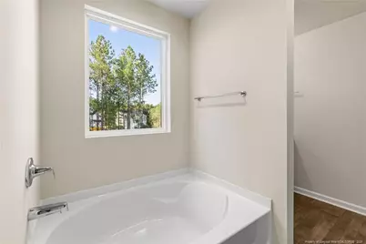 172 Phoenix Drive, Bunnlevel, NC 28323 - Photo 16