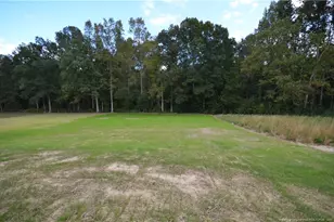 292 Black Duck Ln Lot 87, Lillington, NC 27546 - Photo 30