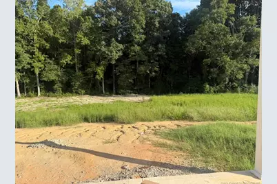 292 Black Duck (Lot 87) Lane, Lillington, NC 27546 - Photo 16