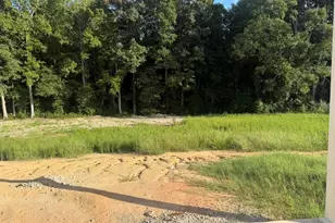 292 Black Duck Ln Lot 87, Lillington, NC 27546 - Photo 16