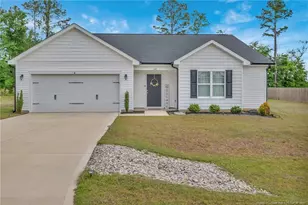 64 Dalmation Ln, Parkton, NC 28371 - Photo 1