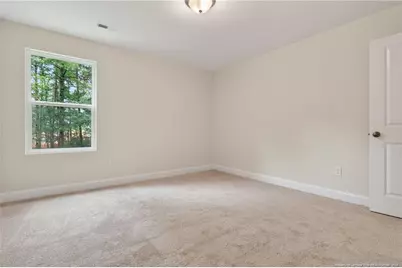 517 Grand Griffon Way, Lillington, NC 27546 - Photo 20