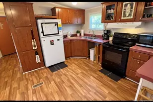 338 Pyrant Rd, Sanford, NC 27330 - Photo 4