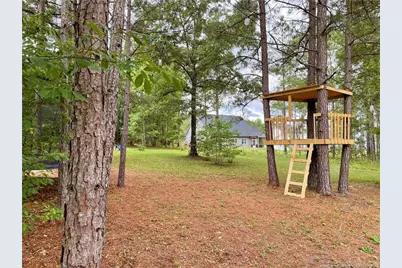 239 Apache Trail, Sanford, NC 27332 - Photo 28