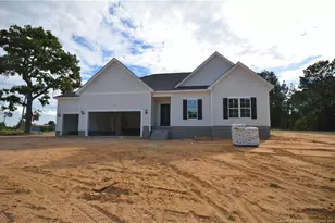 230 D L Phillips Ln Lot 2, Broadway, NC 27505 - Photo 16