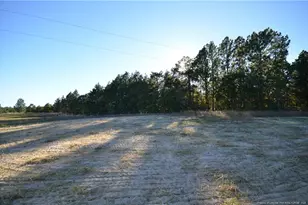 230 D L Phillips Ln Lot 2, Broadway, NC 27505 - Photo 34