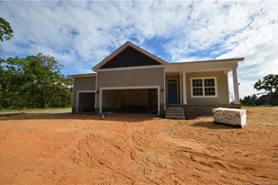 254 D L Phillips Ln Lot 3, Broadway, NC 27505 - Photo 1