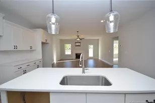 254 D L Phillips Ln Lot 3, Broadway, NC 27505 - Photo 16