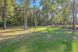 1046 White Plains Dr, Fayetteville, NC 28312 - Photo 50