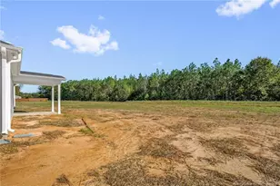 365 Thorntons Creek Dr, Erwin, NC 28376 - Photo 30