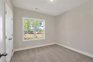 365 Thorntons Creek Dr, Erwin, NC 28376 - Photo 18