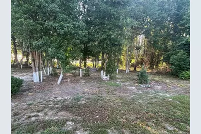 168 Placid Pond Drive, Broadway, NC 27505 - Photo 36