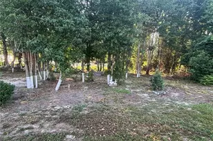 168 Placid Pond Dr, Broadway, NC 27505 - Photo 36