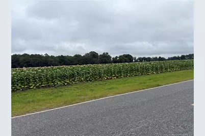 584 Red Oak Farm Road, , NC 28392 - Photo 2