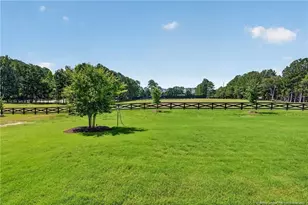 61 Griffin Rd, Lillington, NC 27546 - Photo 46