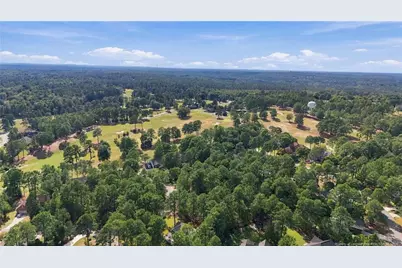 42 Tee Trail, Sanford, NC 27332 - Photo 8