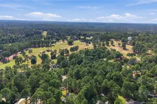 42 Tee Trail, Sanford, NC 27332 - Photo 8