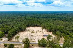 17260 Palmer Rd, Marston, NC 28363 - Photo 34