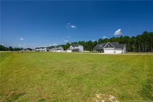 152 Josey Williams Rd, Erwin, NC 28339 - Photo 30