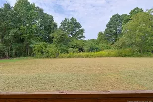 3223 Leaflet Church Rd, Broadway, NC 27505 - Photo 30