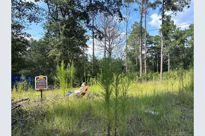 813 Wiregrass Road, Hamlet, NC 28345 - Photo 12