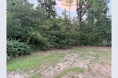 19420 Knapp Street, Laurinburg, NC 28352 - Photo 4
