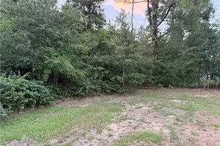 19420 Knapp St, Laurinburg, NC 28352 - Photo 4