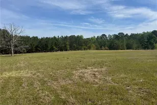 490 Springhill Church Rd, Hamlet, NC 28345 - Photo 36