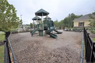 1107 Doe Blossom Ln, Apex, NC 27502 - Photo 46
