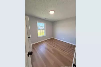 173 Centipede Lane, Raeford, NC 28376 - Photo 4