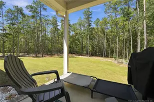 29801 Peach Orchard Rd, Wagram, NC 28396 - Photo 40