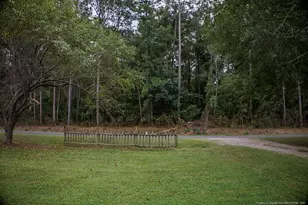 799 Cain Rd, Saint Pauls, NC 28384 - Photo 30
