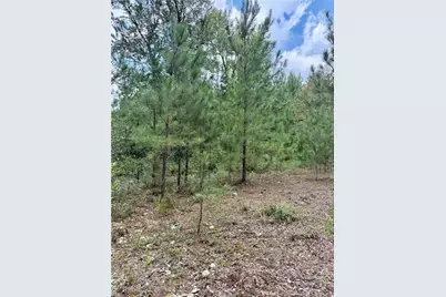 7714 Turnbull Road, Fayetteville, NC 28312 - Photo 8