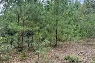 7714 Turnbull Rd, Fayetteville, NC 28312 - Photo 22
