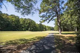 3046 Creek Run, Sanford, NC 27332 - Photo 32