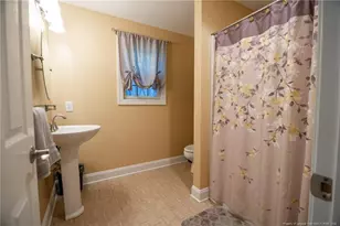 3046 Creek Run, Sanford, NC 27332 - Photo 24