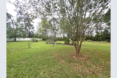 115 Zane Drive, Raeford, NC 28376 - Photo 22