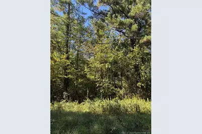 1637 Rose Bud Drive, Fayetteville, NC 28312 - Photo 4