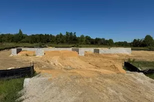 104 Galway Rd, Lillington, NC 27546 - Photo 2