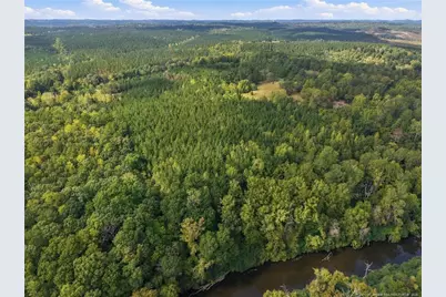 Lot 5 Capelsie Road, Candor, NC 27229 - Photo 4