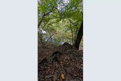 Lot 5 Capelsie Road, Candor, NC 27229 - Photo 8