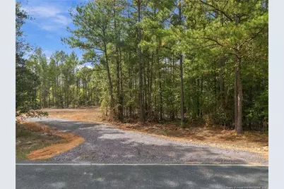 Lot 1 Capelsie Road, Candor, NC 27229 - Photo 2