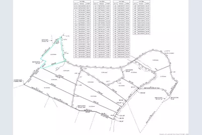 Lot 1 Capelsie Road, Candor, NC 27229 - Photo 6