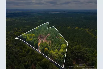 Lot 1 Capelsie Road, Candor, NC 27229 - Photo 1