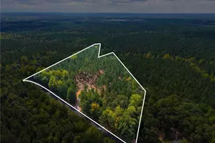 Lot 1 Capelsie Rd, Candor, NC 27229 - Photo 1
