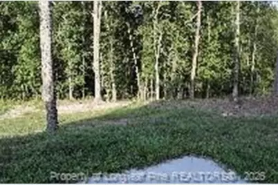 772 Roberts Road, Sanford, NC 27332 - Photo 30